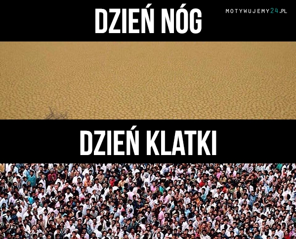 dzień nóg vs dzień klatki