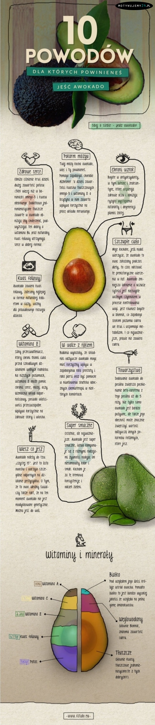 10 powodów, dla których warto jeść avocado