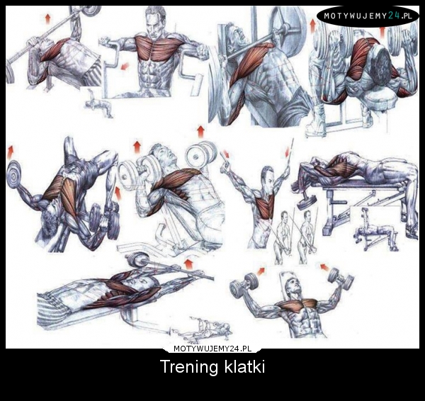 Trening klatki