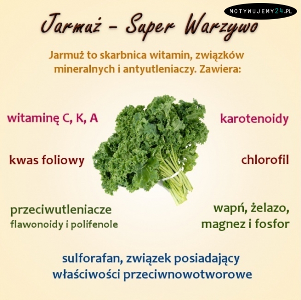 Właściwości jarmużu