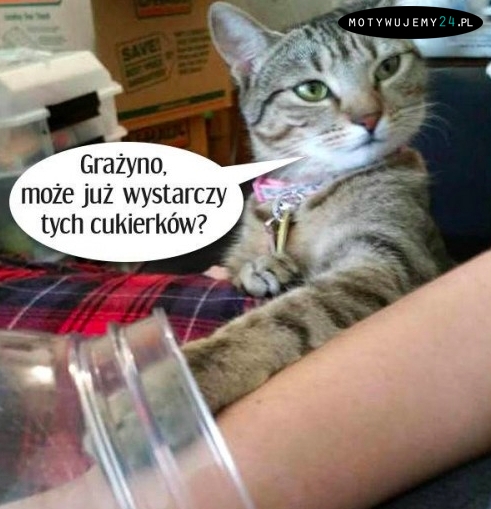 Grażynko!