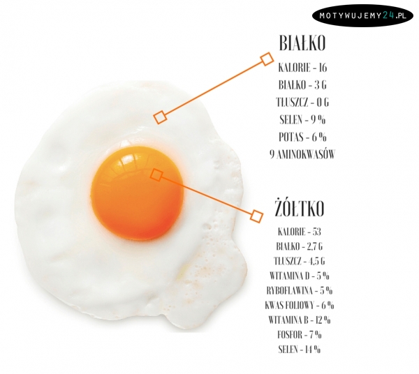 Wartości odżywcze jajka