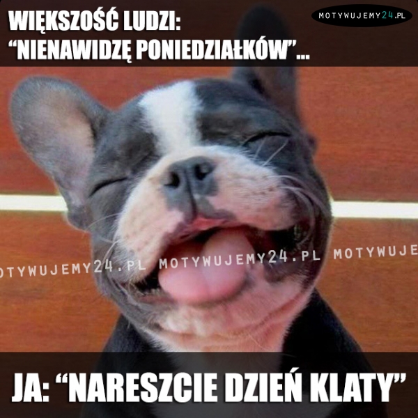 Większość ludzi: 