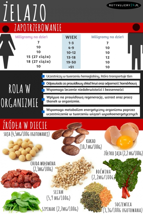 Żelazo - rola w organizmie i źródła