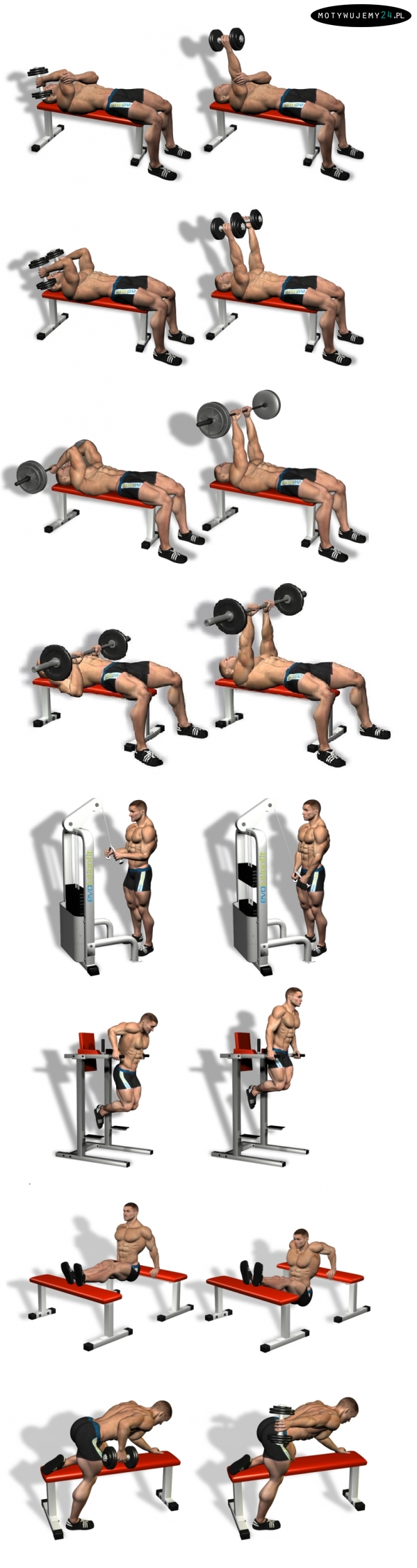 Najlepsze ćwiczenia na triceps