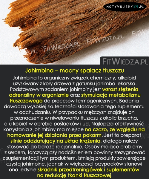 Johimbina - mocny spalacz tłuszczu