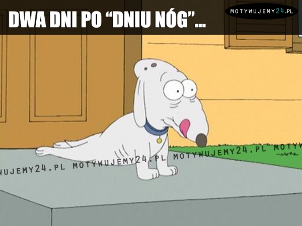 Tak to wygląda...