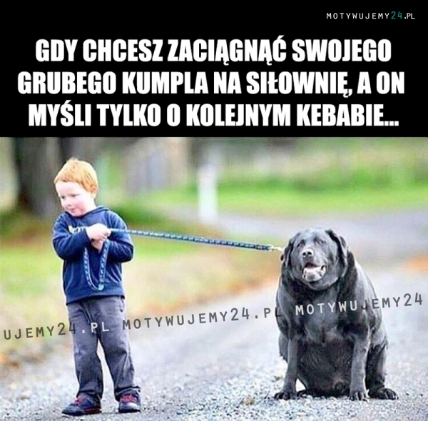 Gdy chcesz zaciągnąć swojeg grubego kumpla na siłownię...