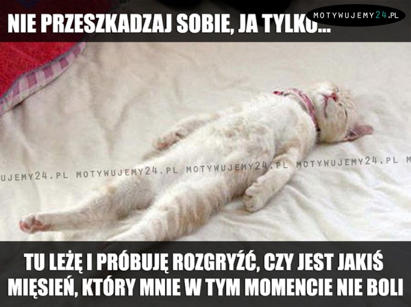 Nie przeszkadzaj sobie, ja tylko...