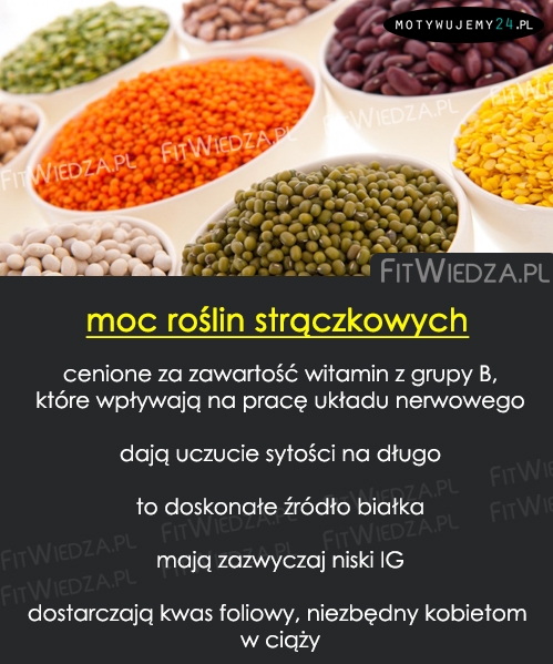 Moc roślin strączkowych