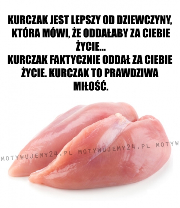 Kurczak rozumie...