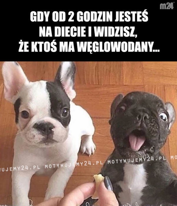 Gdy od 2 godzin jesteś na diecie i...