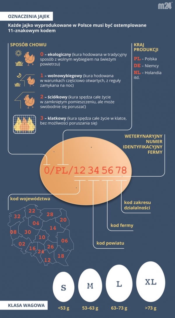 Kody na jajkach - zobacz co oznaczają