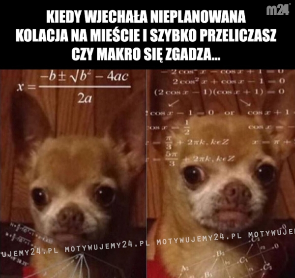 Wyższa matematyka...