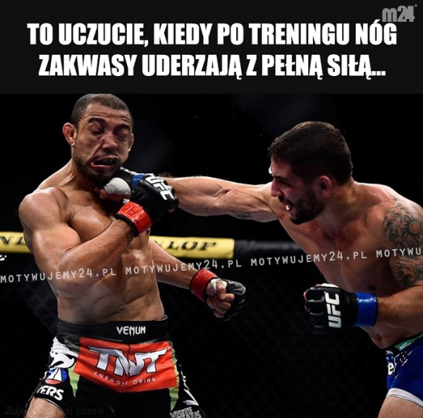 Tak to dosłownie wygląda...