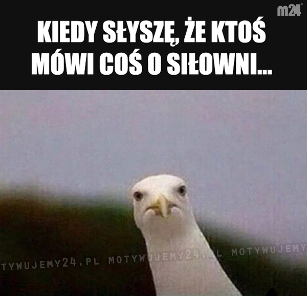 Ale o co chodzi...