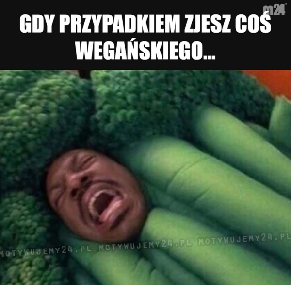 Coo to jeest...