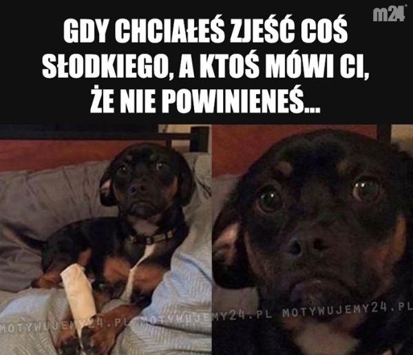 Zepsuł całą zabawę...