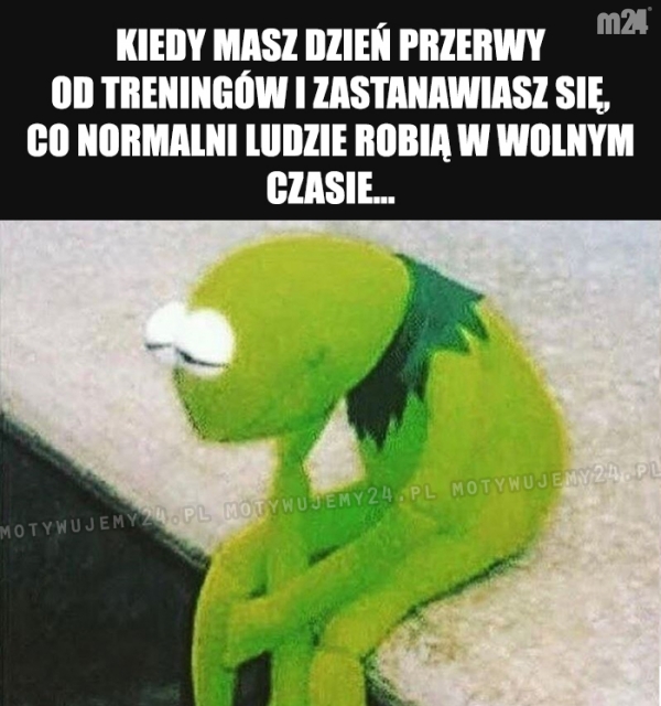 Zielonego pojęcia...