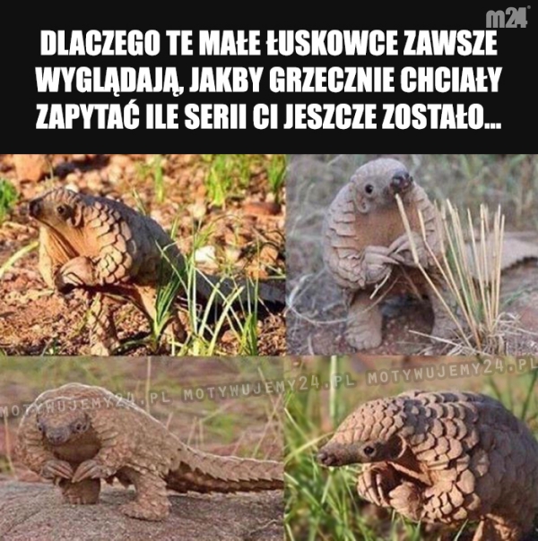 Kulturalnie, grzecznie i uprzejmie...
