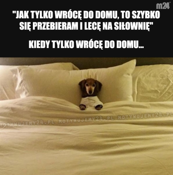 Nie wiem jak to się stało...
