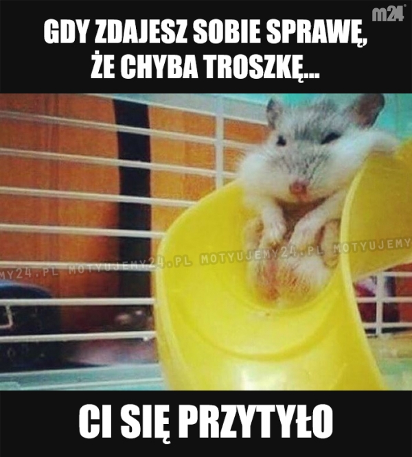 Oho...