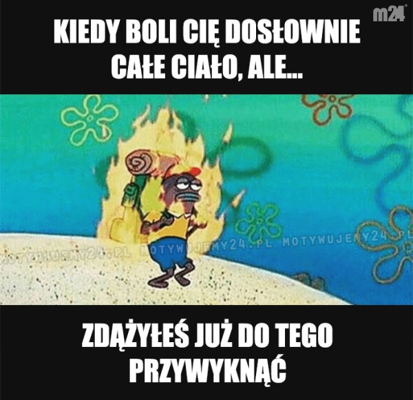 Dzień jak co dzień...