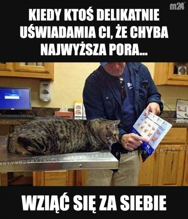 Coś w tym jest...