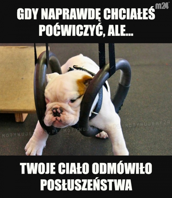 No i co zrobisz...