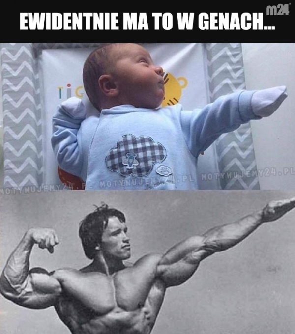 Tego nie oszukasz...