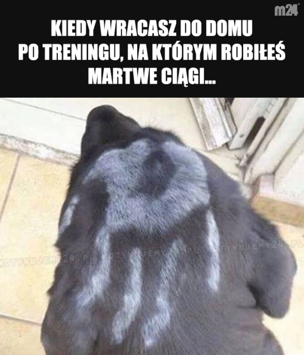 Nie da się ukryć...